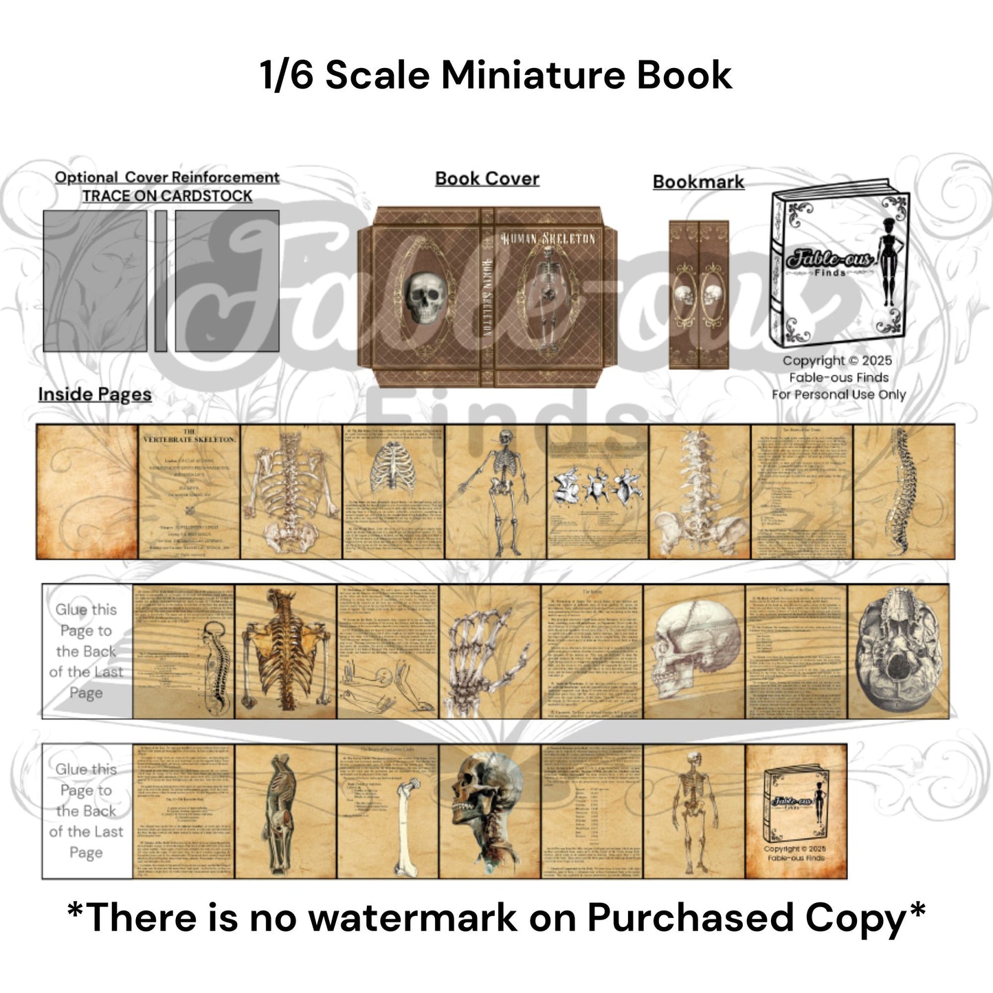 Printable Human Skeleton Miniature Reference Book - Instant PDF Download