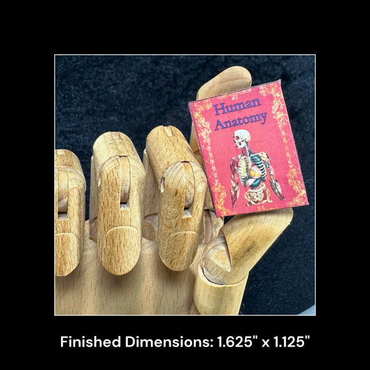 Printable Human Anatomy Miniature Reference Book - Instant PDF Download