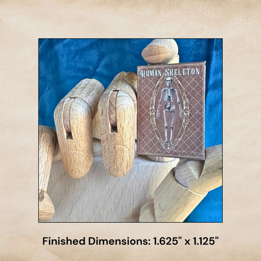 Printable Human Skeleton Miniature Reference Book - Instant PDF Download