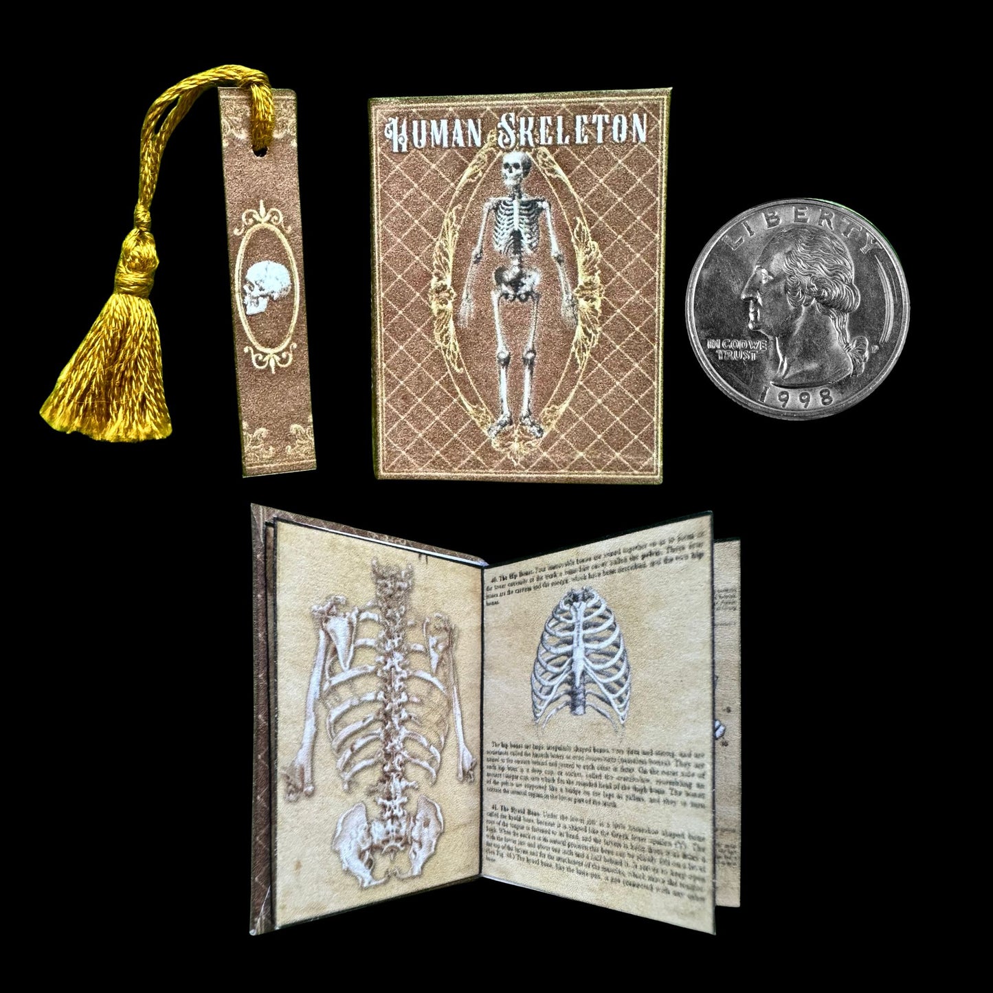 Printable Human Skeleton Miniature Reference Book - Instant PDF Download