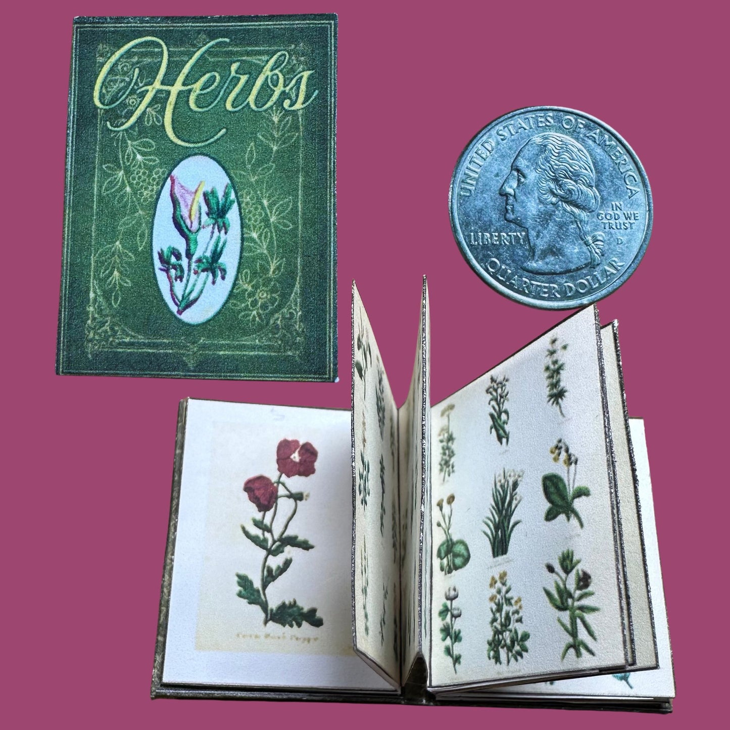 Printable Nature Reference Miniature Book Bundle of 3 - Instant PDF Download