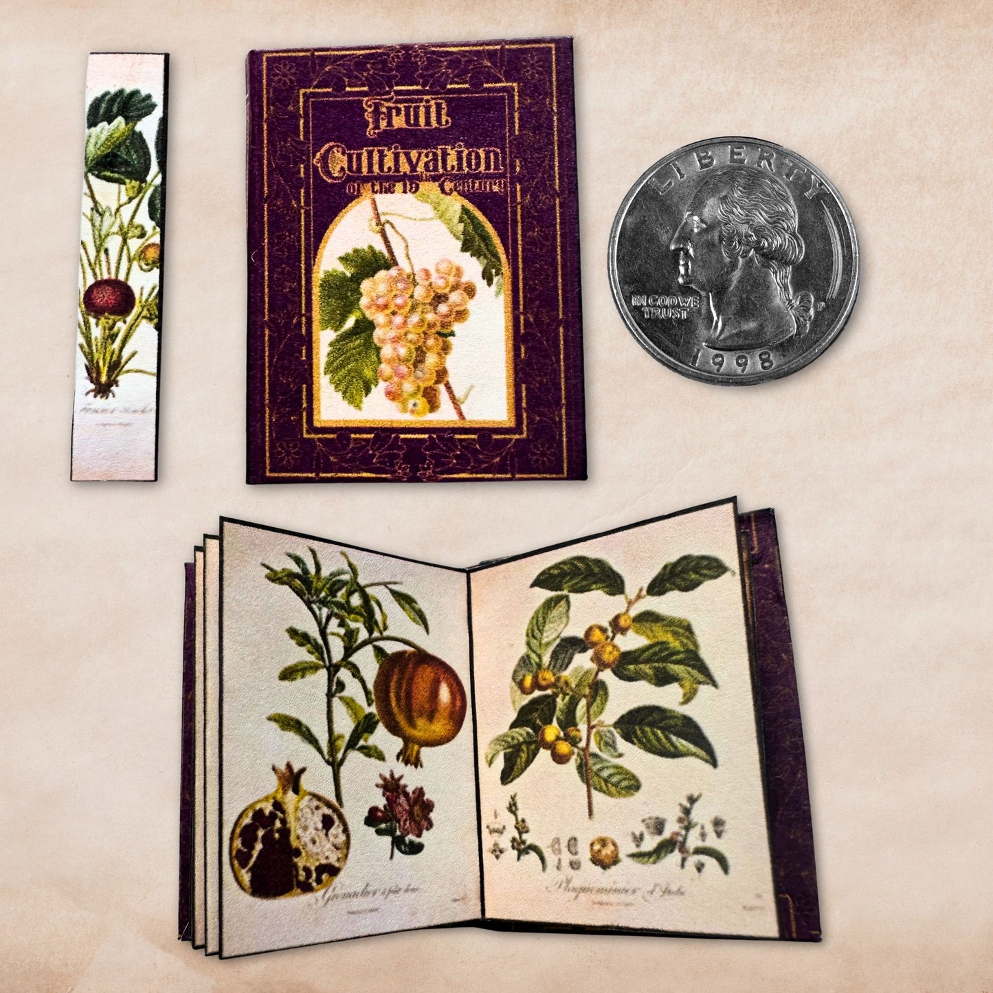Fruit Cultivation of the 19th Century Miniature Reference Book